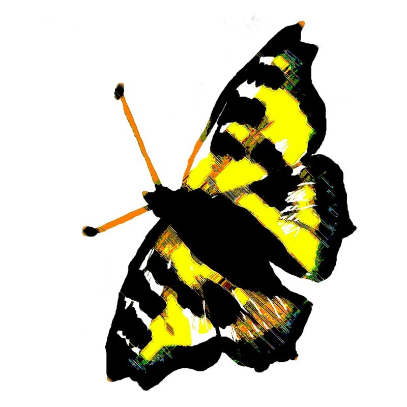 papillon