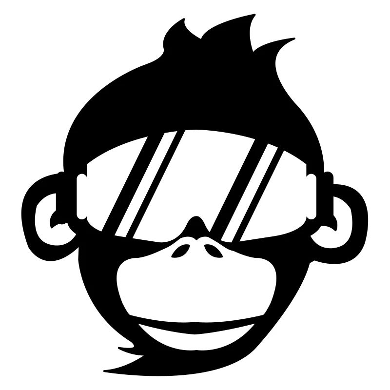 affe_skibrille_01