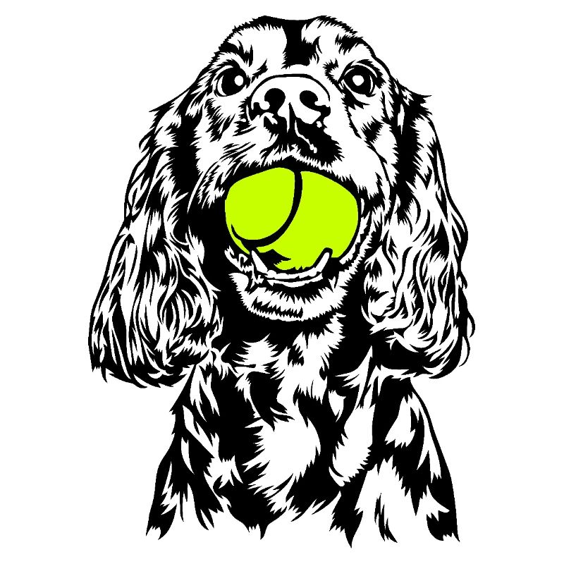 Cocker Spaniel Chien Chien Wilsigns