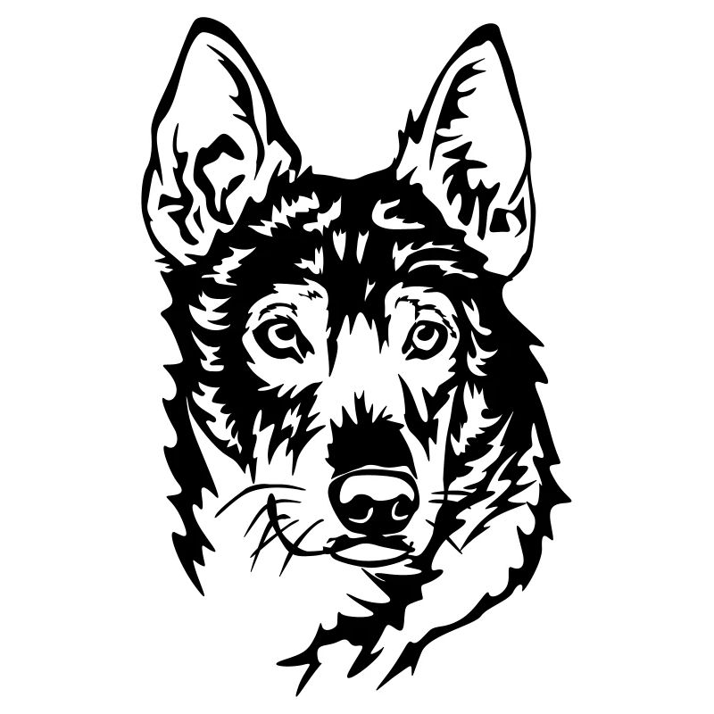 Alaskan Husky Head