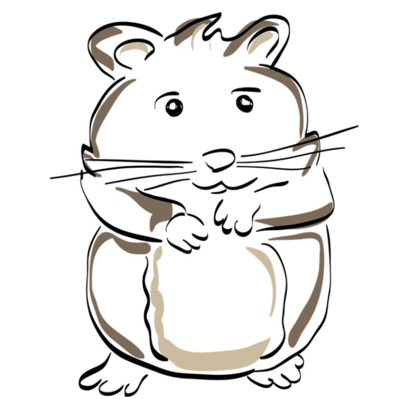 Drawn hamster - perfect gift idea!
