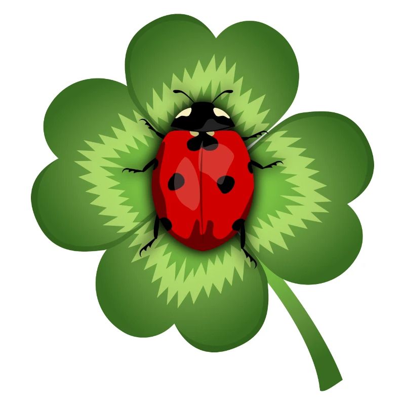 Kleeblatt und Marienkäfer