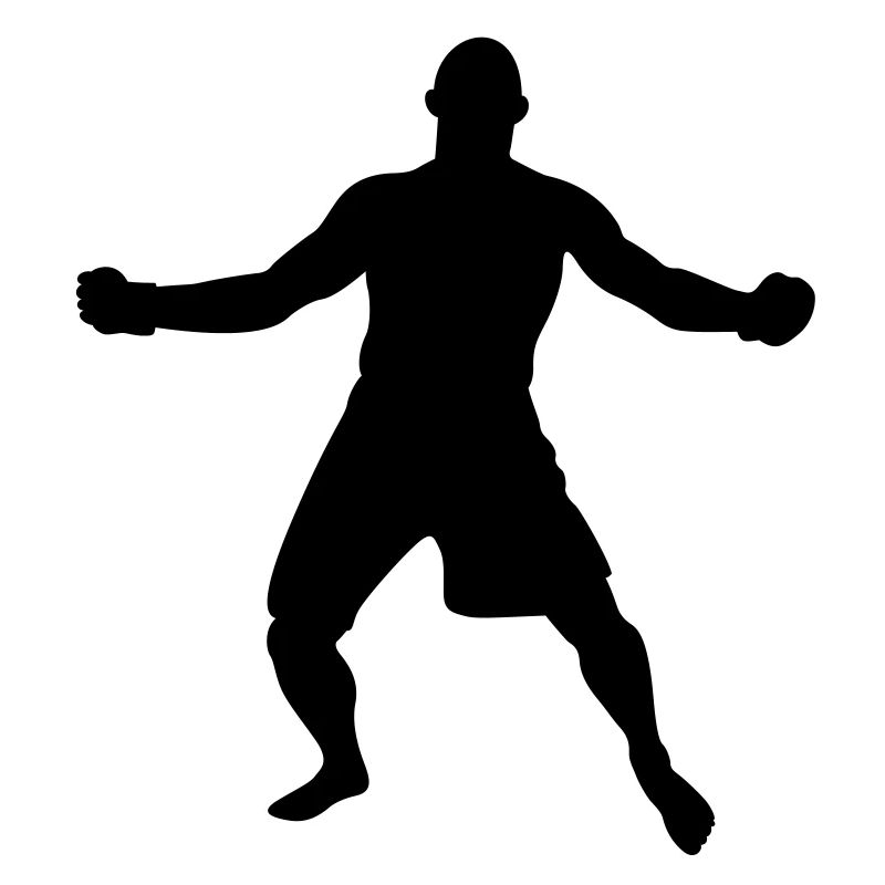 MMA N ° 7