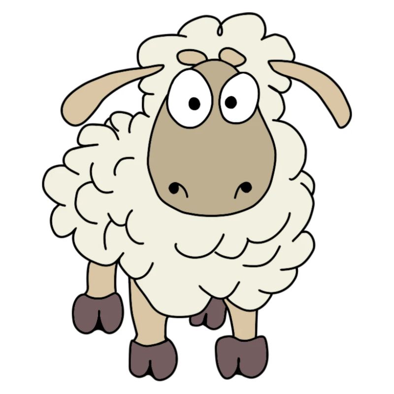 Sharly Sheep