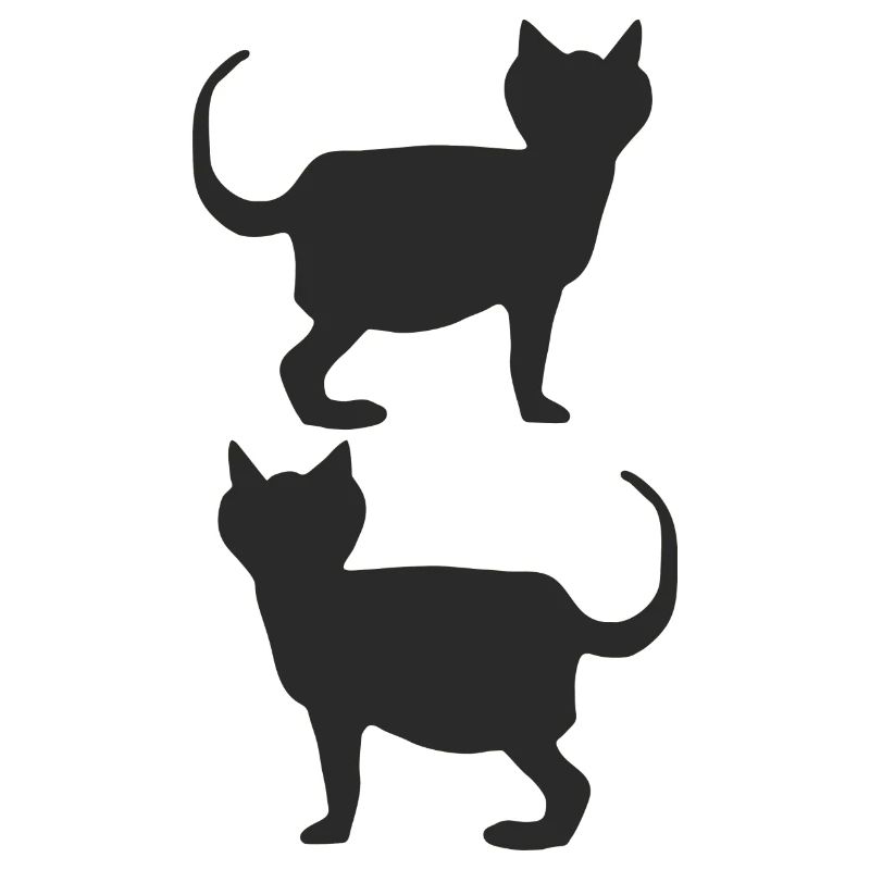 Cats Black