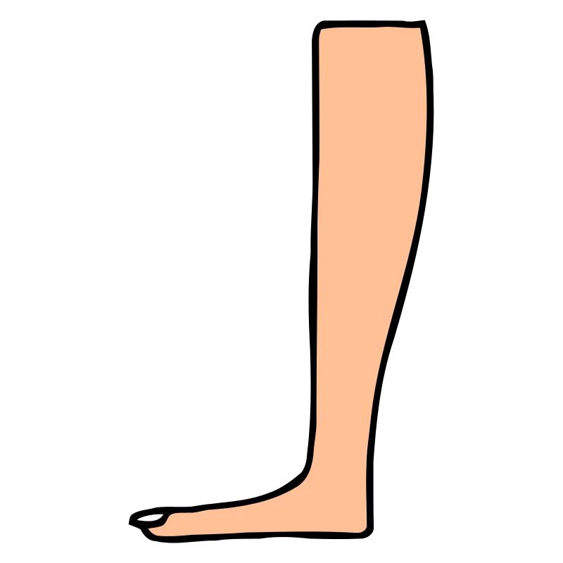 Leg Heiroglyph