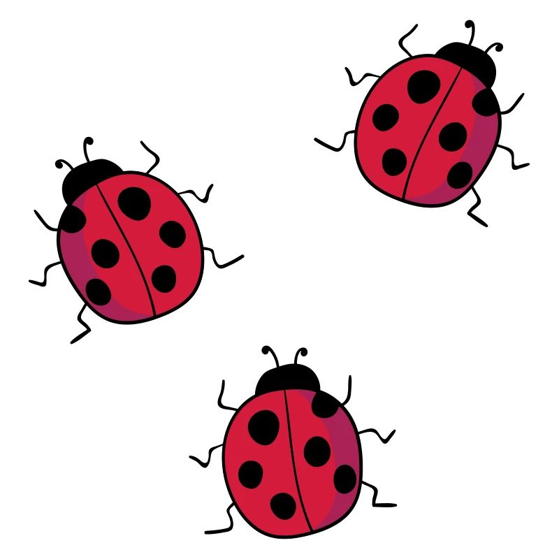 ladybug