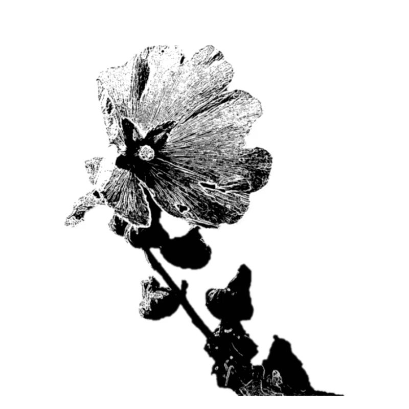 fleur