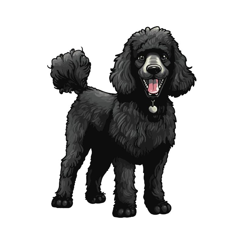 Poodle Dog