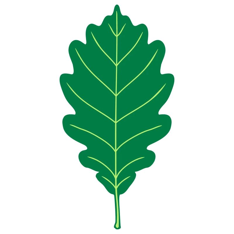 Oak Leaf