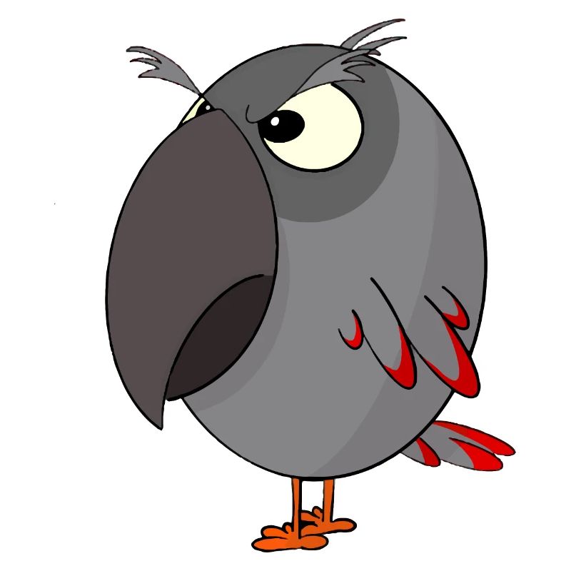 Wütender grauer Papagei