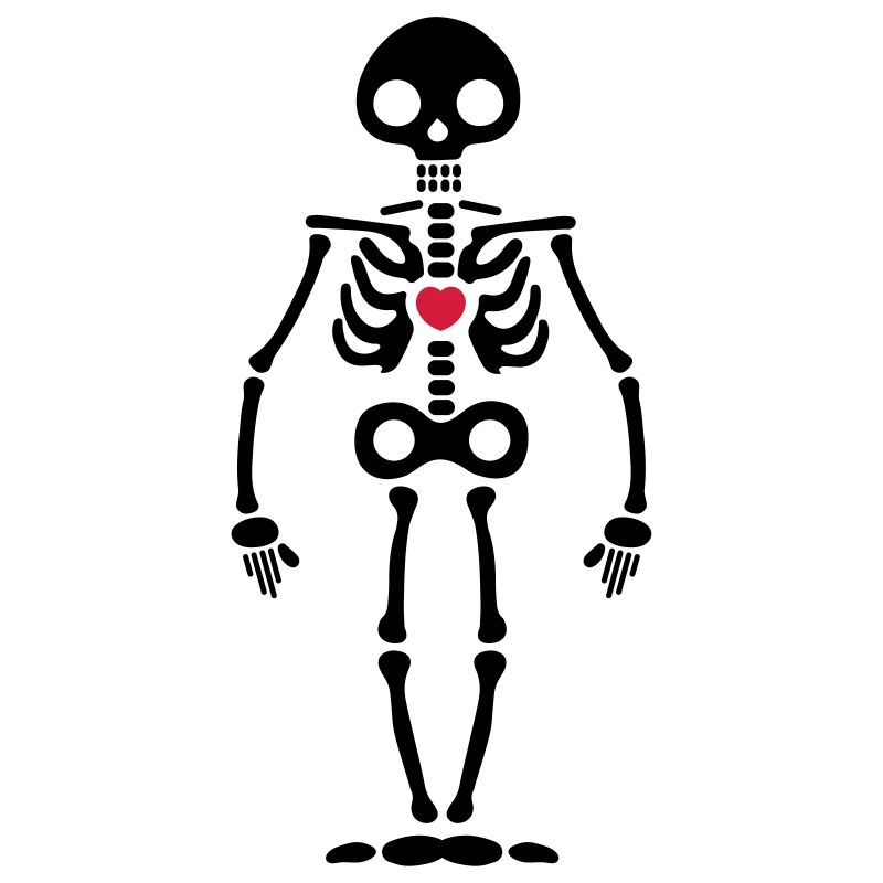 skeleton
