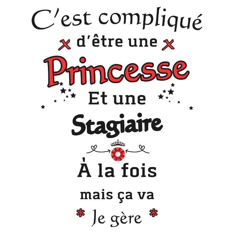 Princesse Stagiaire