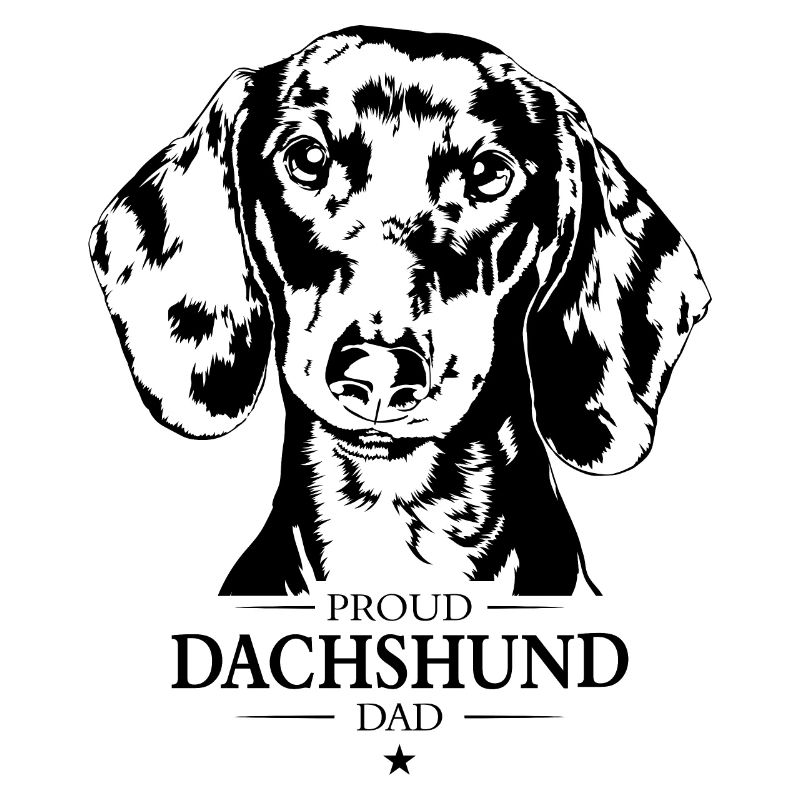 Teckel Papa Chiens Chien Teckel Wilsigns