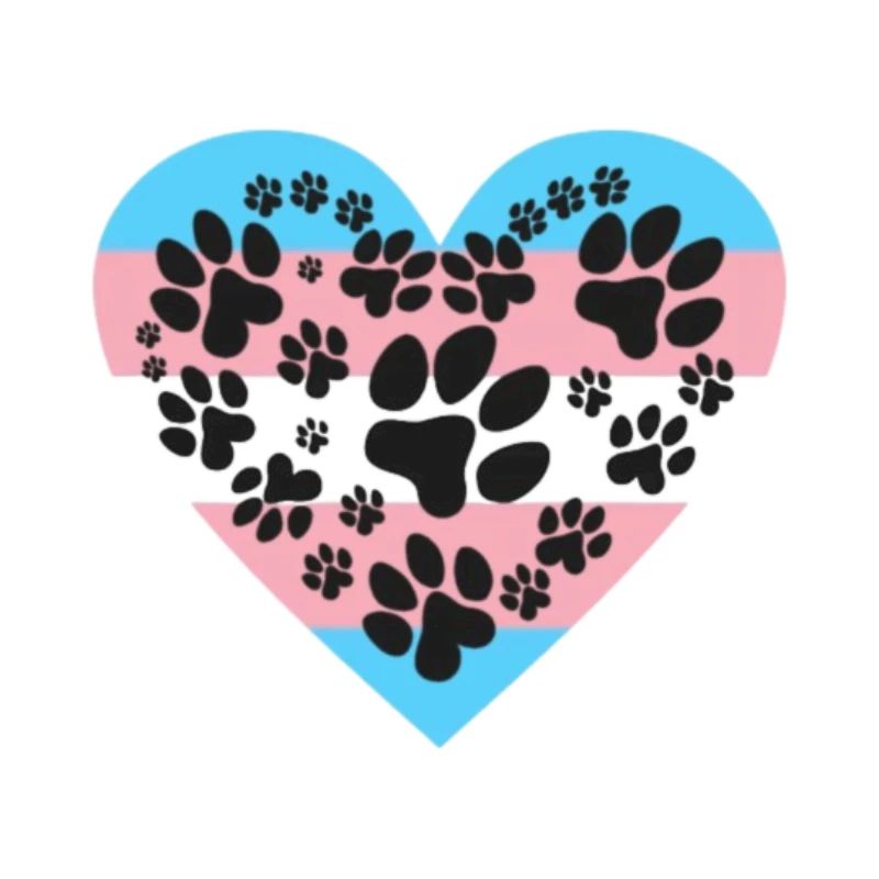 Fierté du chiot trans