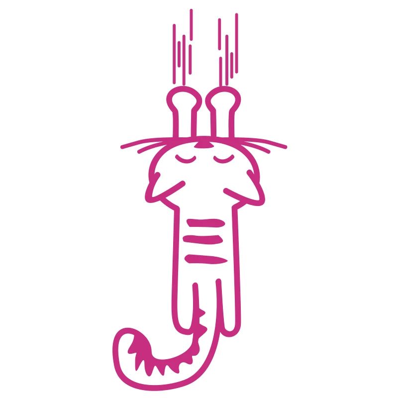 gratter les chats kitty - chat - -