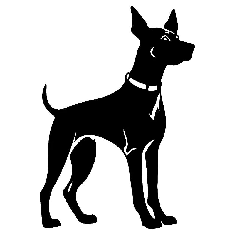 Chien Doberman