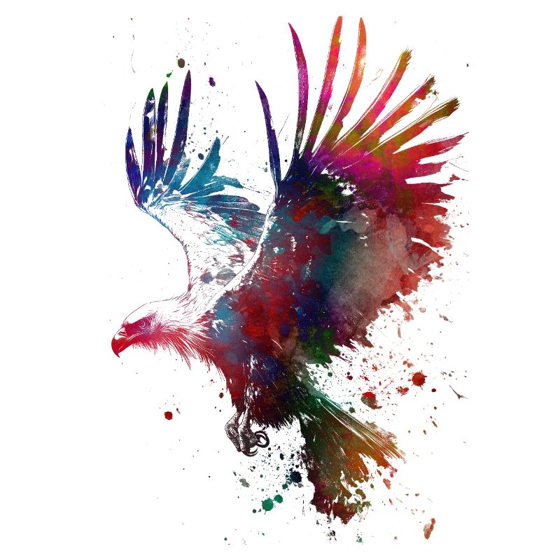 Bird eagle