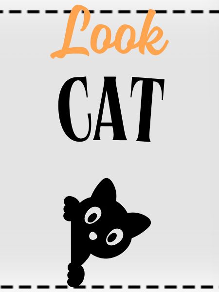 Look Cat