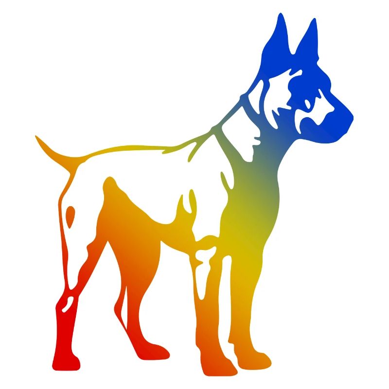 Bull Terrier Chien Multicolore
