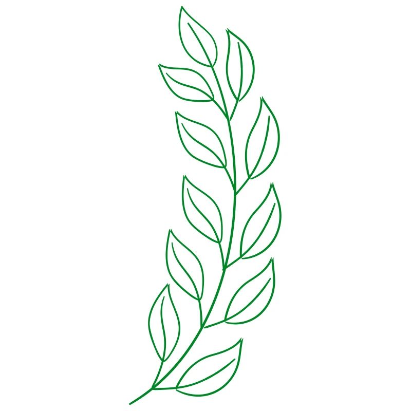 Wheat leaf
