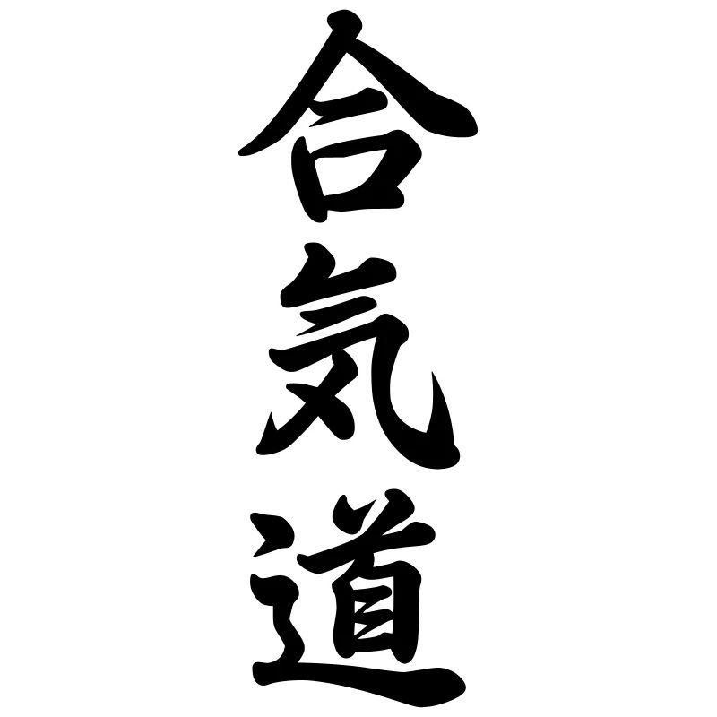 aikido snow