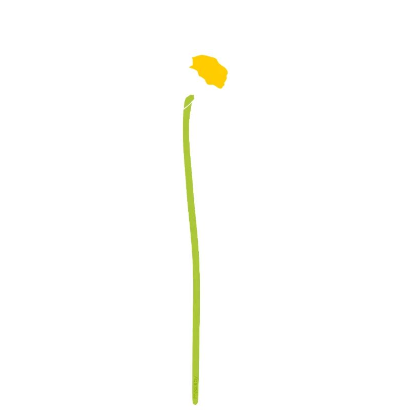Calendula