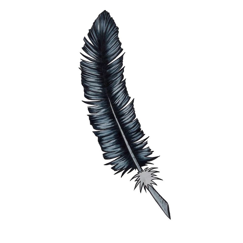 Crow feather