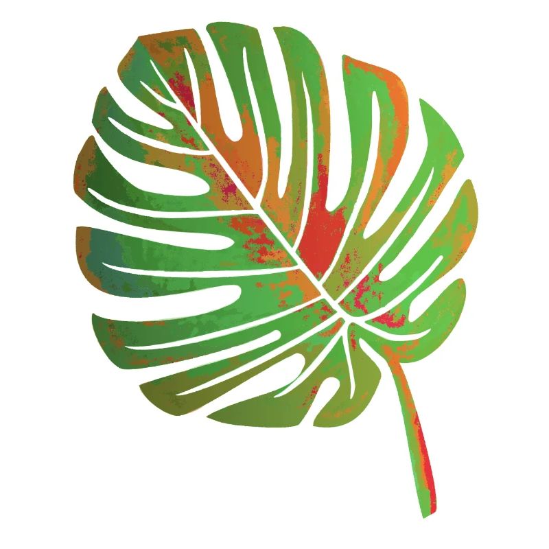 Feuille de Monstera