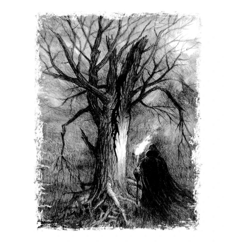 The Wanderer's Shadow by a Dead Tree