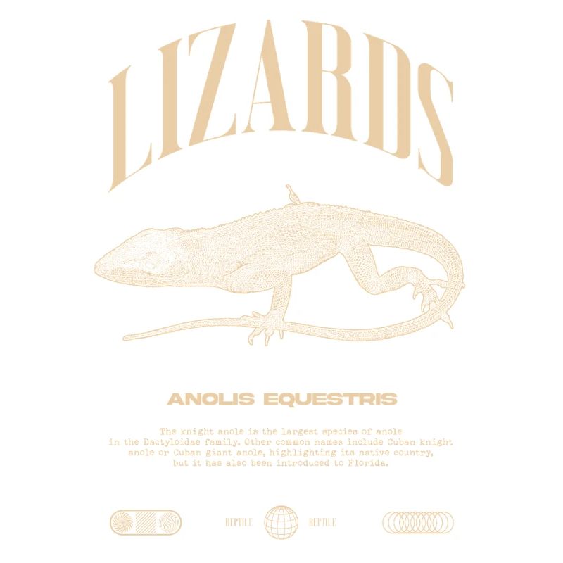 Cuban Knight Anole Reptile Keeper Lizard