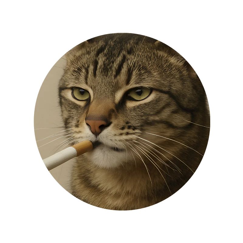 Fumer Chat Génération Z Mème Chat Fumer