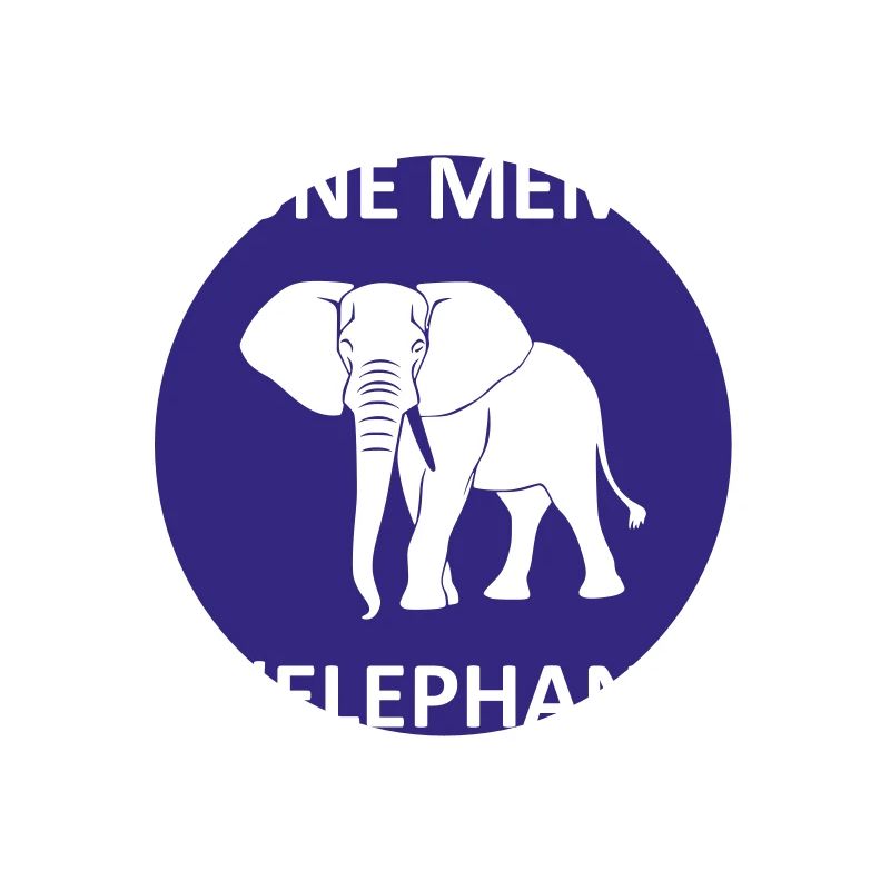 I have an elephant's memory