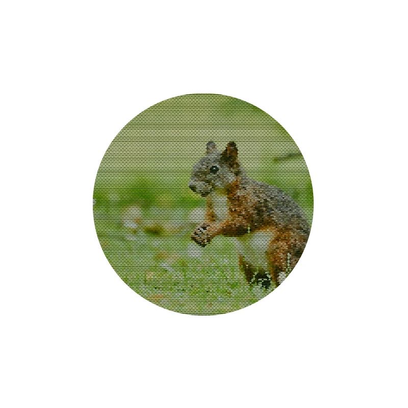 Squirrel Forest Pattern