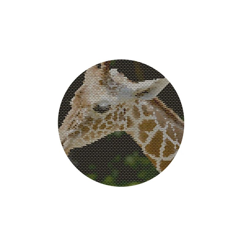Giraffe with triangle pattern
