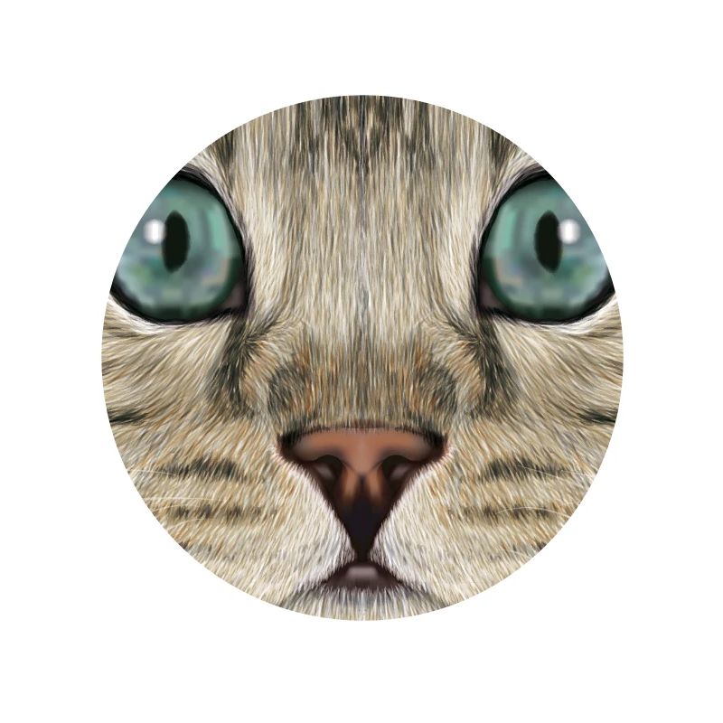 Bengalkatze 