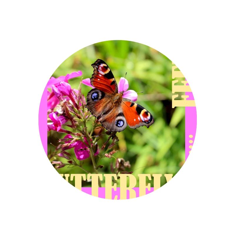 Conception de photos à effet papillon