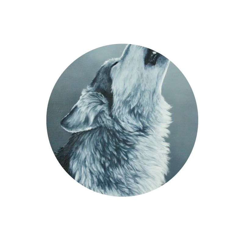 Grey Wolf