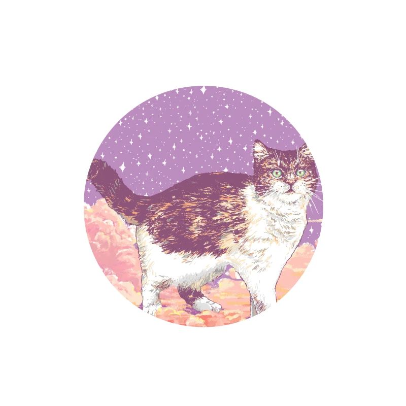 WOLKENKATZE