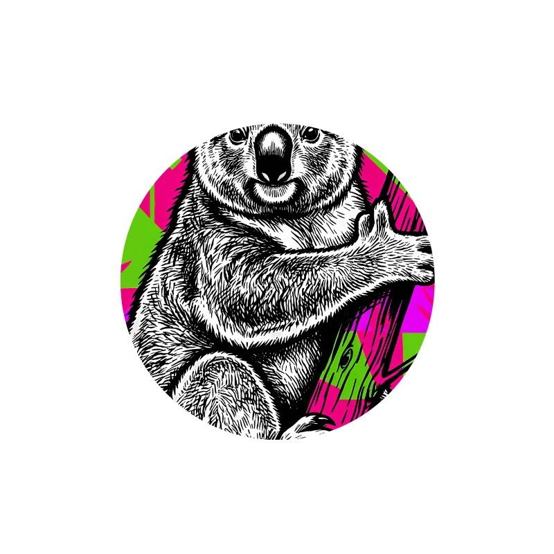 Koala