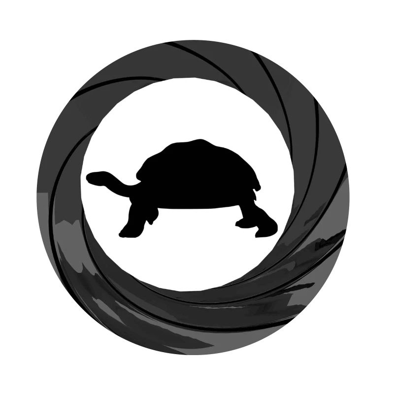 Bond turtle