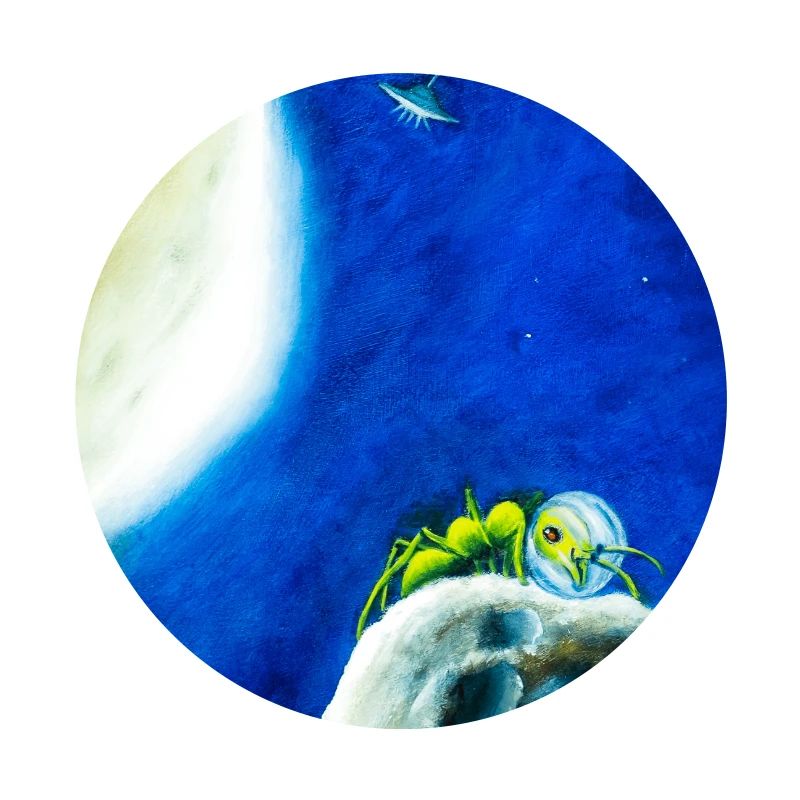 Mondameise oder Ameisonaut in der Sternennacht