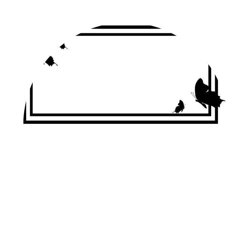 Rectangular frame with butterflies