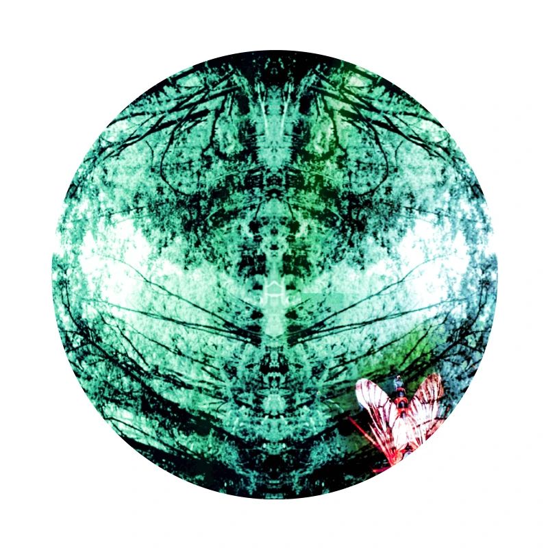 Reflet de la forêt Sarcelle Papillon