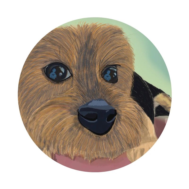 Hundeaugen oder Liebesreflex