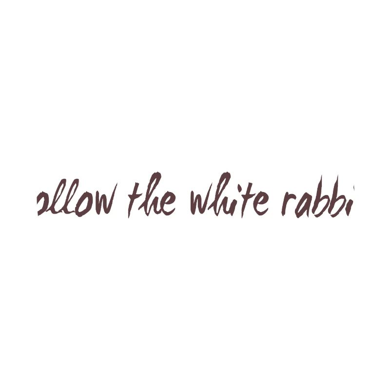 Follow the white rabbit Programming Geschenk