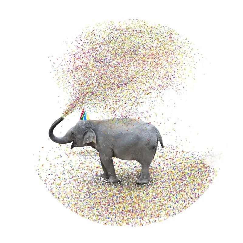 elephant