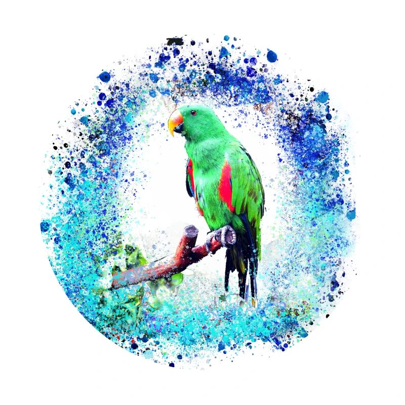 perfich ara,oiseau,graffiti,mint,bleu,brush,spray