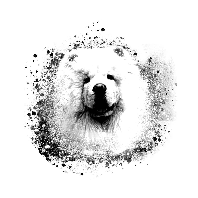 Chow Chow, Hund, samojede, malerei, graffiti