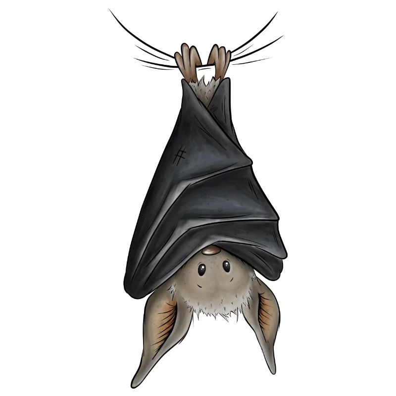 Funny chilling upside down hanging bat